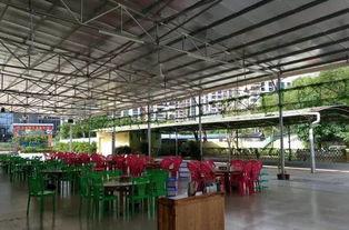 鹅厂高层爆料视频大全,揭秘腾讯内部真相与未来战略