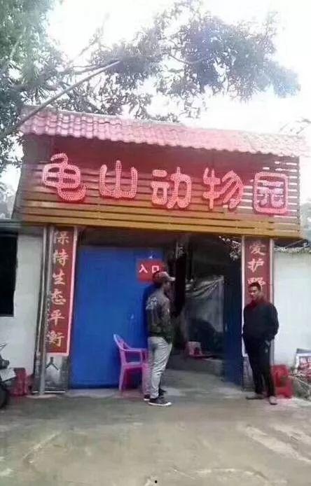 鹅厂高层爆料视频大全,揭秘腾讯内部真相与未来战略