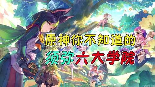 原神须弥爆料大全最新,原神最新爆料大全深度解析