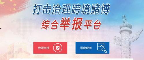 十个最新爆料网站大全免费,最新资讯一手掌握