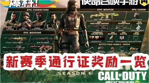 流浪者爆料动画视频,揭秘动画背后的真实故事