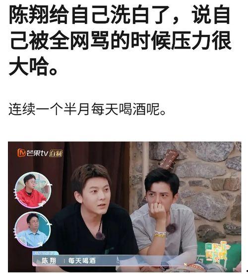 陈翔助理爆料视频大全,揭秘明星幕后故事