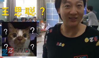 王思聪先生爆料了吗视频,揭秘娱乐圈幕后真相