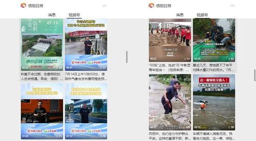 信阳今日爆料新闻视频回放,视频揭秘事件真相