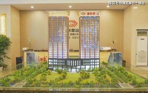 新鼎公寓最新爆料,揭秘神秘项目背后的真相与未来走向”