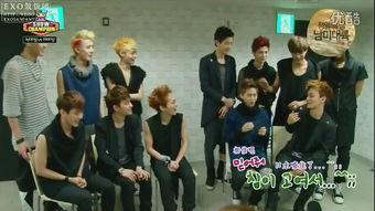 exo续约最新爆料视频,揭秘背后真相与粉丝期待