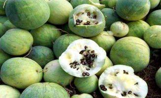 乌黑料吃瓜网站免费,免费吃瓜网站背后的秘密