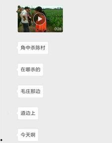 藁城网友爆料最新新闻,最新突发事件引发关注