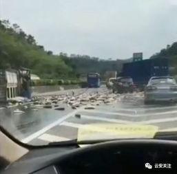 网友爆料高速路口视频,行车安全警钟长鸣