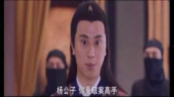 纳妾记在线观看,宫廷权谋与情感纠葛的华丽演绎