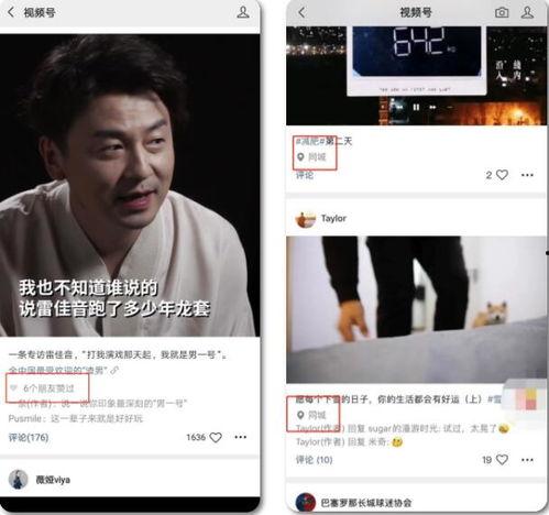 张小姐深圳头条爆料视频,揭秘事件背后惊人真相