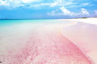 粉色沙滩爆料视频,揭秘神秘自然奇景的幕后故事