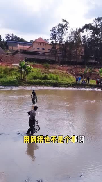 抓鱼吃瓜视频在线观看免费,在线观看视频盛宴