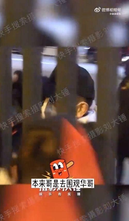 刘德华狗仔爆料事件视频,揭秘娱乐圈幕后真相