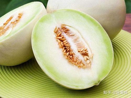 兰州最新瓜爆料,揭秘最新瓜种背后的故事