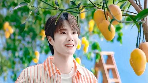 娱乐大爆料王一博赵露思,娱乐大爆料揭秘幕后故事