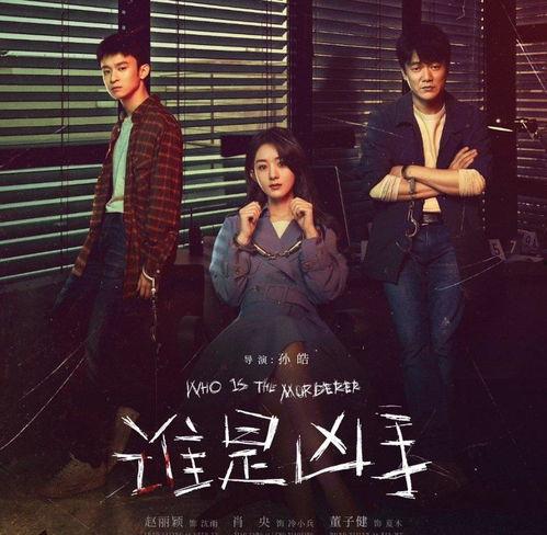 谁是凶手电视剧在线观看,揭秘悬疑背后的真相，谁是幕后黑手？