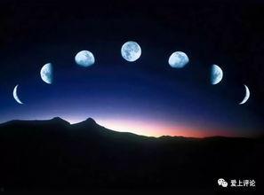 沈阳月亮爆料视频完整版,揭秘事件背后惊人真相