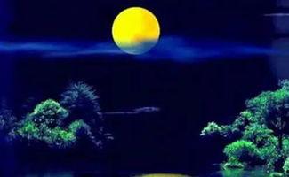 沈阳月亮爆料视频完整版,揭秘事件背后惊人真相