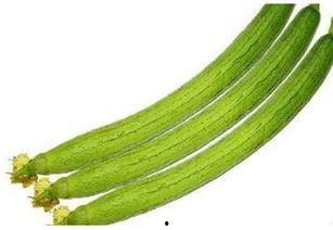 丝瓜官网最新版本爆料,揭秘最新版本亮点与功能革新