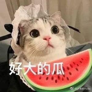 网红吵架吃瓜,吃瓜群众围观网络口水战