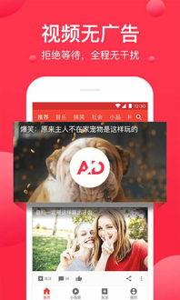 吃瓜爆料配音视频下载免费,揭秘“吃瓜爆料配音视频”免费下载攻略