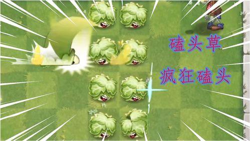 最新 植物爆料,这些植物竟有如此神奇功效！