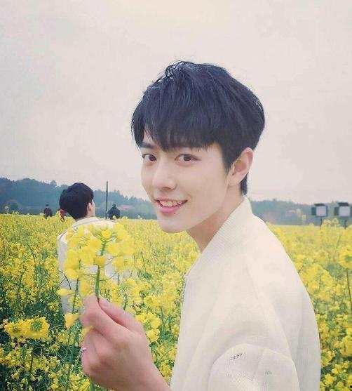 肖战感情爆料视频大全下载,揭秘明星私生活背后的真相