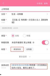 视频投稿爆料怎么写好看,视频投稿爆料背后的精彩瞬间