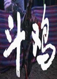 斗鸡电影在线观看,激战正酣，在线观看热血燃情