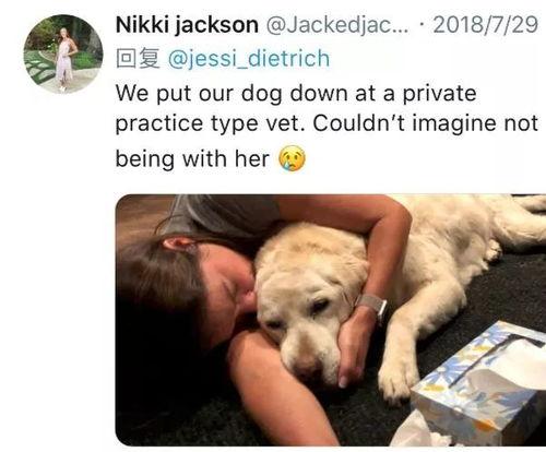 宠物安乐死娱乐吃瓜酱,娱乐吃瓜酱带你揭秘背后真相