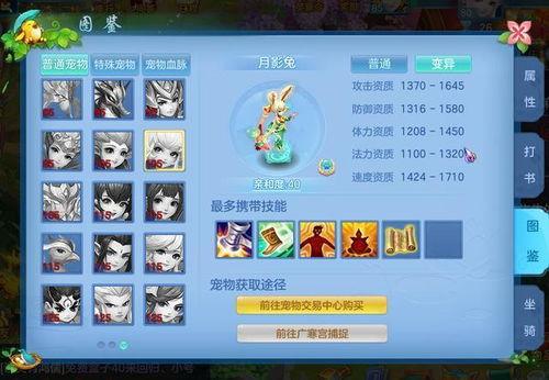 神武宠物最新爆料,神秘新宠降临，游戏世界再掀波澜！