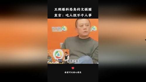王朔爆料黑臭娱乐圈小说,王朔爆料黑幕，揭开明星背后的真相