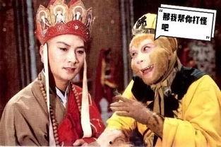 唐僧最新爆料视频大全,揭秘视频大全背后的精彩故事