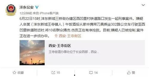 西安官微爆料最新消息今天,今日重大新闻速览，揭秘最新动态！