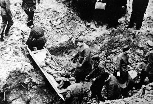 在线观看卡廷惨案,揭示二战中的黑暗篇章