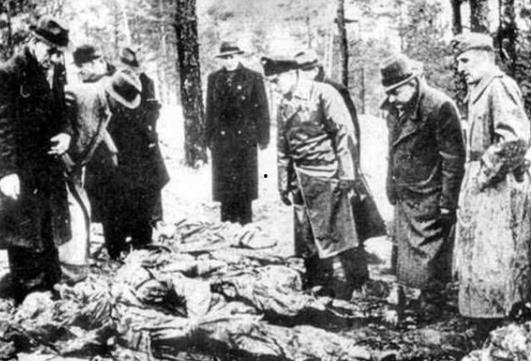 在线观看卡廷惨案,揭示二战中的黑暗篇章