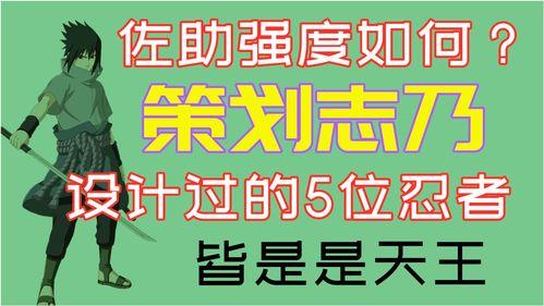 九月高招策划爆料视频大全,视频大全亮点抢先看