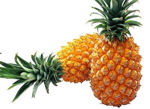 菠萝最新爆料内容,娱乐圈最新动态大曝光！