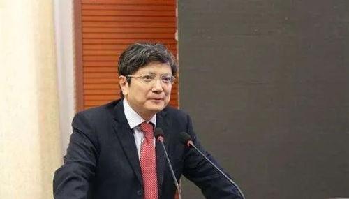 郑强最新爆料消息视频,揭秘事件背后惊人真相