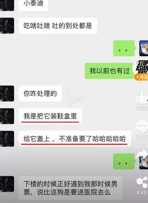 网红吃瓜猛料网站视频,独家视频内容大揭秘