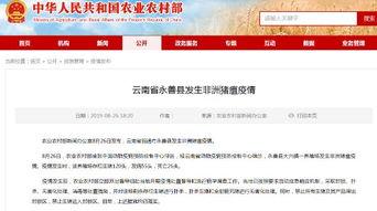 国家最新爆料消息新闻,国家最新爆料，重大新闻事件深度解析