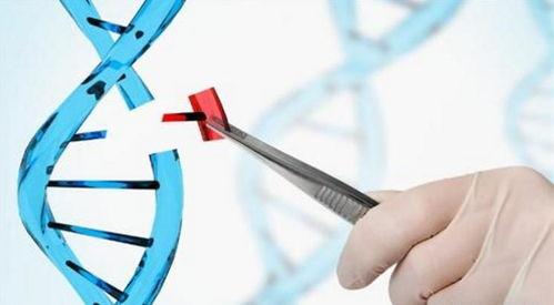 医生爆料2岁女孩视频,医生揭露惊人真相！