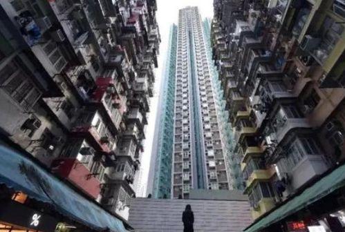 缅北高层爆料视频大全,视频大全背后的真相与内幕