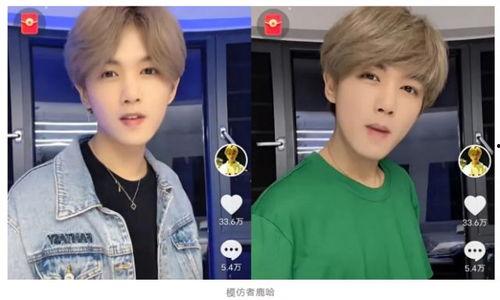 王二博爆料鹿哈视频,揭秘网络红人幕后故事