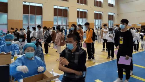 平乡爆料事件最新消息,最新进展揭秘，真相逐渐浮出水面