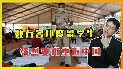 国外疫情最新爆料印度,最新爆料揭示严峻形势