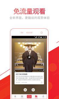 爆料者被打事件视频下载,真相与正义的较量