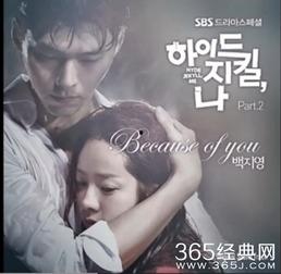 海哲基尔与我在线观看,海哲基尔与我在线观看：探寻神秘力量与冒险之旅