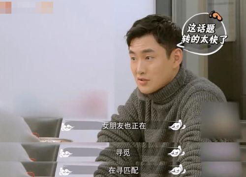 娱乐圈爆料王彦霖,娱乐圈爆料王，揭秘明星幕后故事